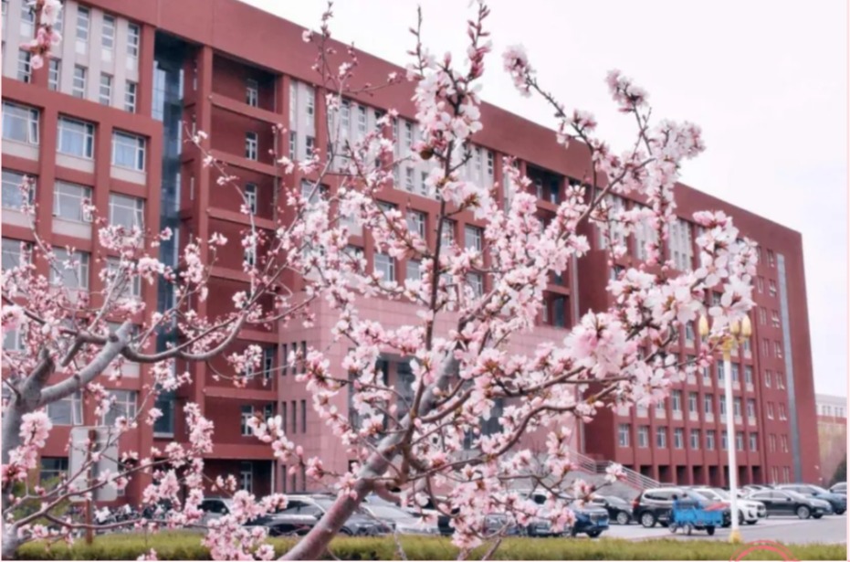 我的大学很曼妙|COLOR WALK的建院浪漫